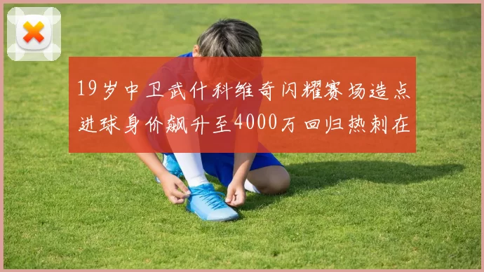 19岁中卫武什科维奇闪耀赛场造点进球身价飙升至4000万回归热刺在即