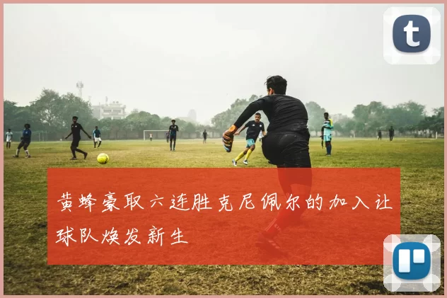 黄蜂豪取六连胜克尼佩尔的加入让球队焕发新生